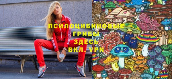 соль курить ск Гусев