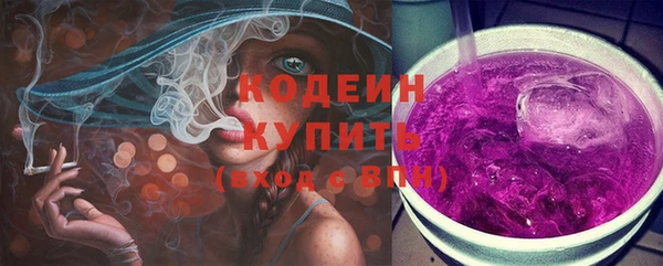 молекула духа Елизово