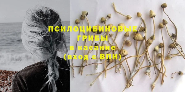 амфетамин Ельня