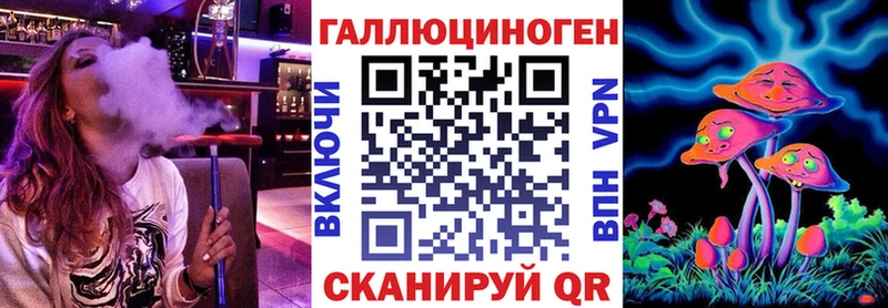 Галлюциногенные грибы Psilocybine cubensis  Болохово 